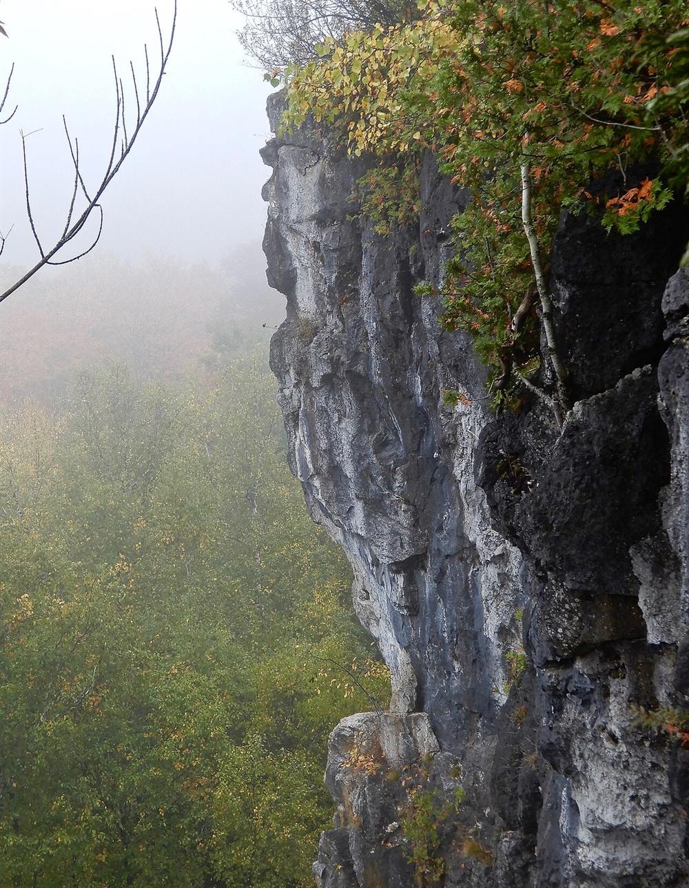 A limestone cliff face of the escarpment rising out of autumn mist