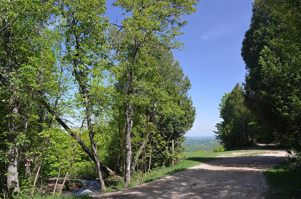 A gravel trail through fresh green trees with a view out over the valley