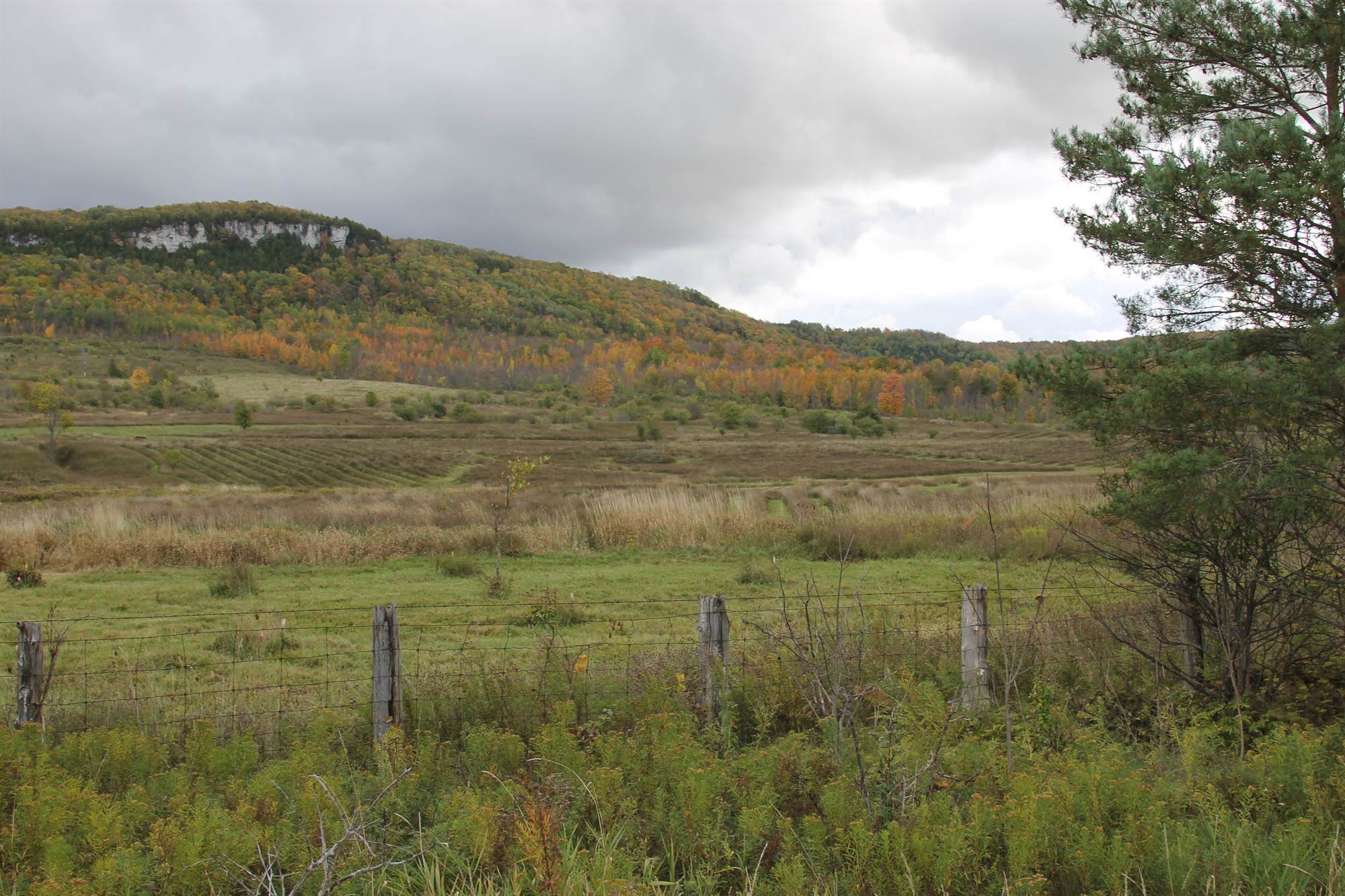 Rolling hills in fall colour above the Beaver Valley, under the edge of the escarpment