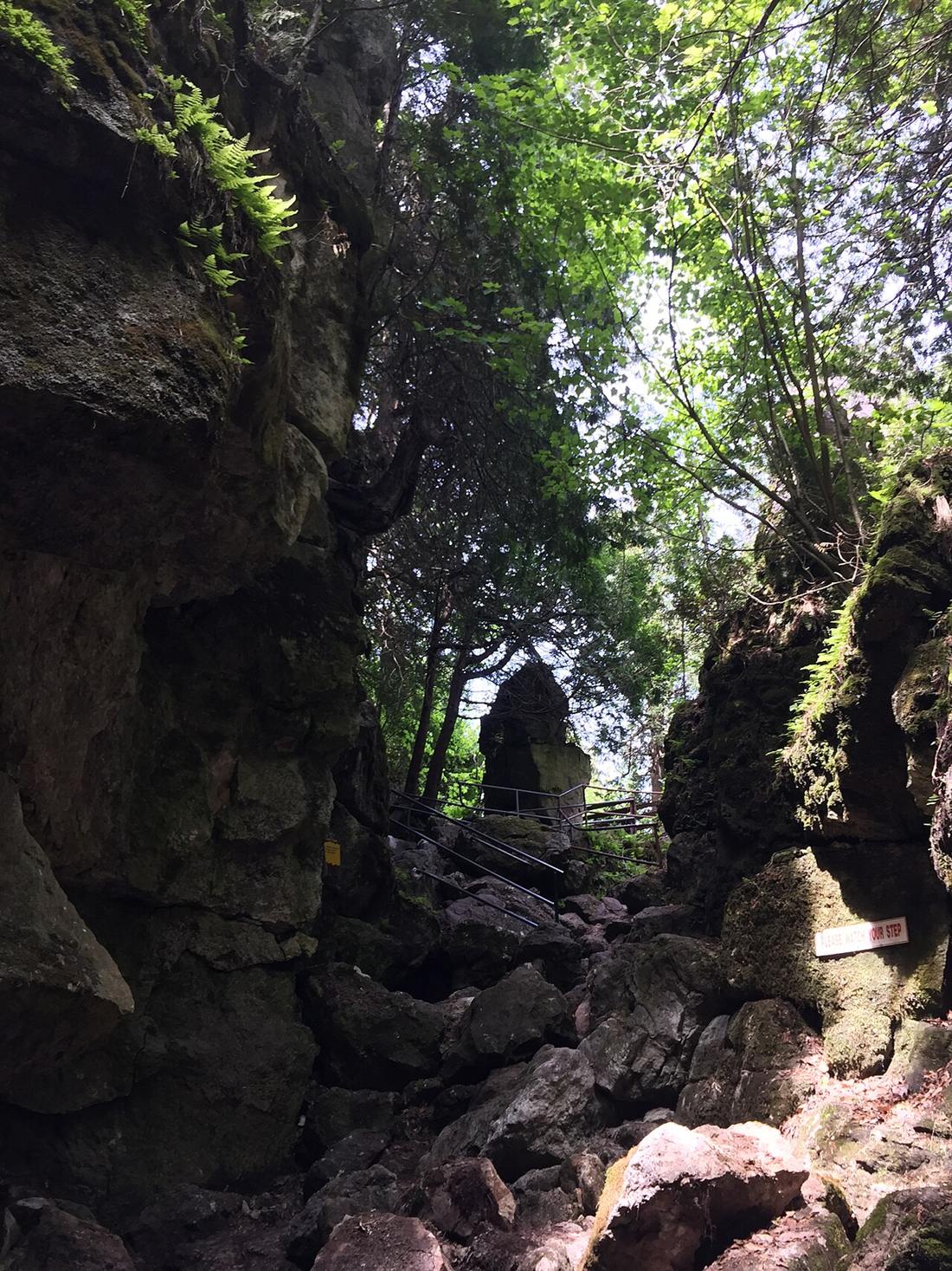 A narrow mossy crevice between limestone walls at Scenic Caves