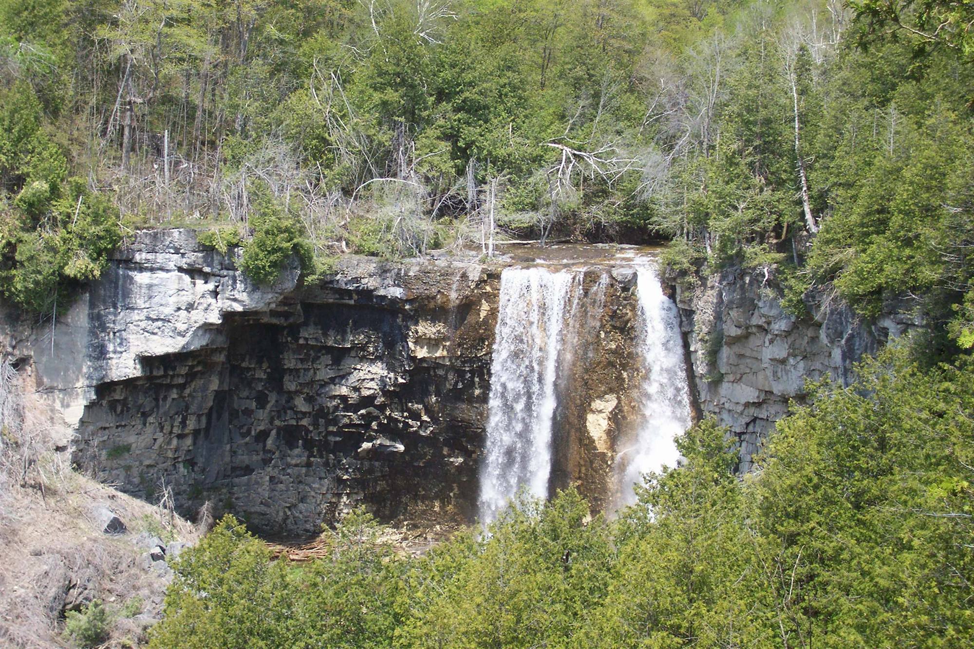 Eugenia Falls pouring over a limestone cliff into a gorge of fresh spring green